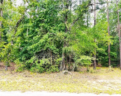 1.26 Acres with Nice Elevation and Beautiful Native Trees.