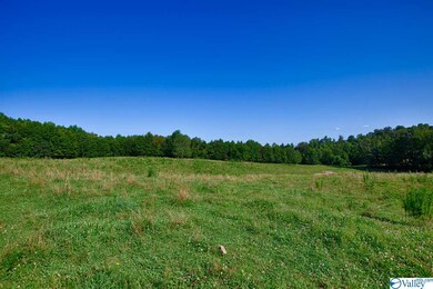 0 Shoal Creek Rd unit 1148561, Goodspring, TN 38460 - photo 3