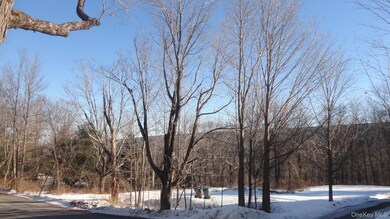 0 Henry Rd unit KEY909778, Cragsmoor, NY 12420 - photo 7