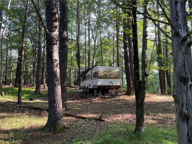 Old Trailer