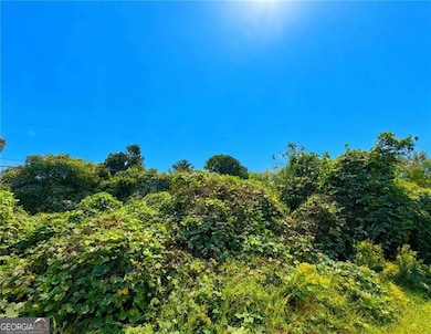 4020 Grant Rd, Ellenwood, GA 30294 - photo 3