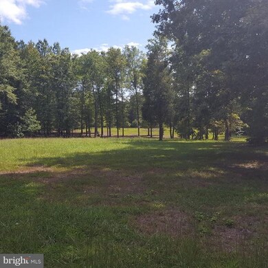 0 Little Egypt Rd unit 1000142775, Orange, VA 22960 - photo 4