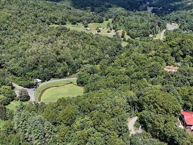 0 Ivy Ridge unit 26041961, Sylva, NC 28779 - photo 3