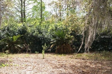 VEGETATION