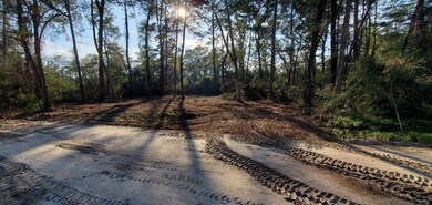 xxx Chippewa Rd, Crawfordville, FL 32327 - photo 4