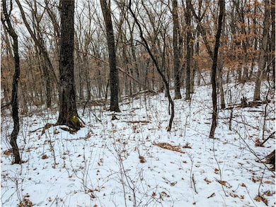 0000 Murphy Ln, Union, WI 54703 - photo 3