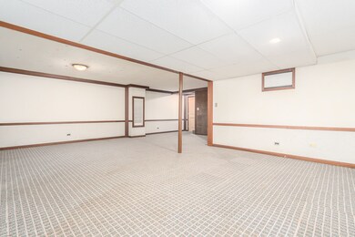 479 Cassin Rd, Naperville, IL 60565 - photo 5