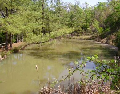 14794 Slaty Gap Rd, West Fork, AR 72774 - photo 6