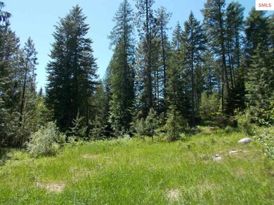 669 Forest Knolls Dr, Sandpoint, ID 83864 - photo 3