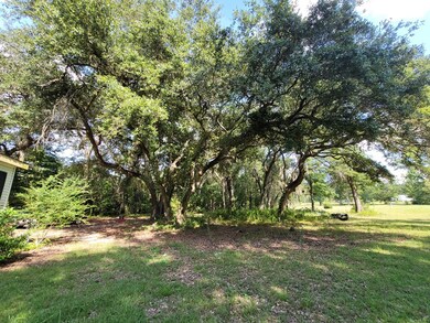 133 Pine Trail, Sylvester, GA 31791 - photo 5