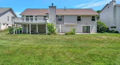 Common Ground/Level Back yard