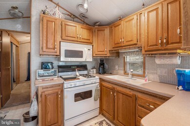 305 Huron Ln, Earleville, MD 21919 - photo 5