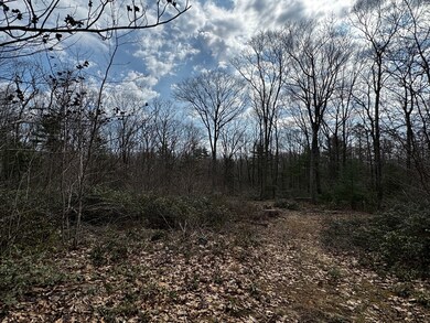 355 Leadmine Rd, Sturbridge, MA 01518 - photo 4