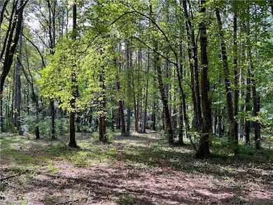 00 Jackson Rd unit 8.64 Ac, Mount Airy, NC 27030 - photo 3