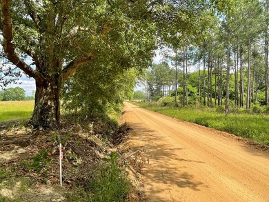 Jim Maloy Road