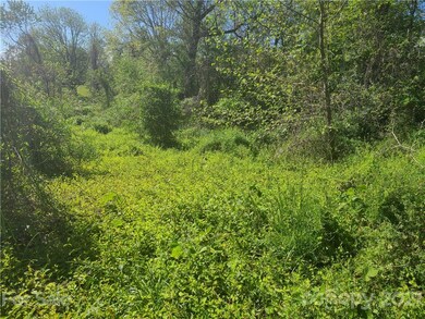 TBD Shannon Dr, Asheville, NC 28803 - photo 4