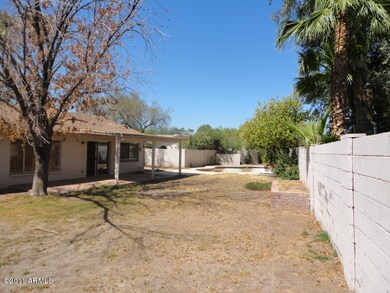 Larger Backyard with Diving Pool
