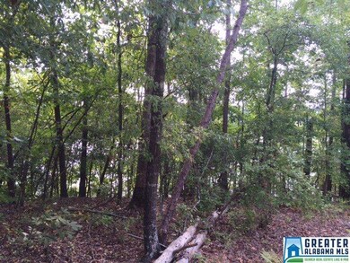 0 County Road 3291 unit 762028, Wedowee, AL 36278 - photo 4