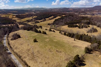 635 Forest Grove Rd unit 703, Lexington, VA 24450 - photo 2