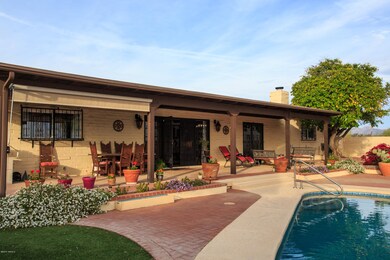 Backyard Sanctuary!
