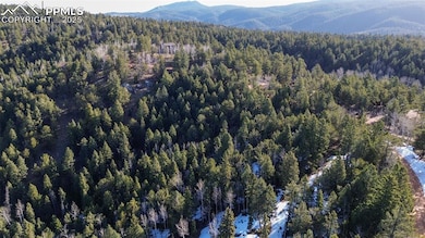 Bird's eye view featuring a wooded view and a moun