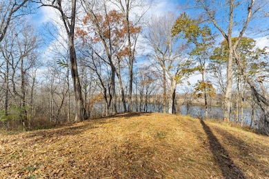 0 Boxwood Shores Dr unit Lot 2 56659, Boydton, VA 23917 - photo 6
