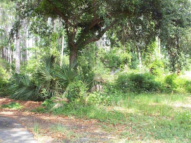 000 Eventide Rd, Milton, FL 32583 - photo 3