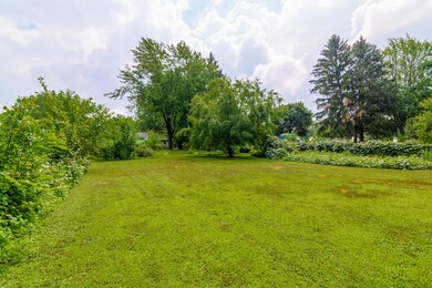 141-Collindale-1038