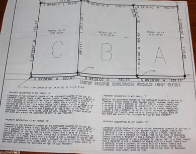 28301 A New Hope Church Rd, Robertsdale, AL 36567 - photo 3