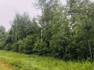 ON Phalzgraff Rd, Tomahawk, WI 54487 - photo 4