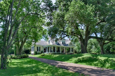 Long shady driveway to house