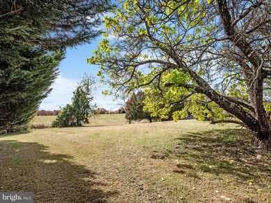 6530 N Frederick Pike, Whitacre, VA 22625 - photo 7