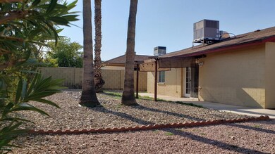 Huge Back Yard