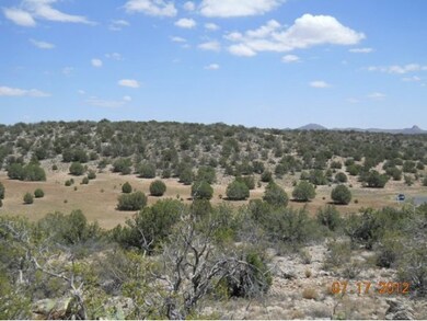 2 E Verde Highlands Trail, Paulden, AZ 86334 - photo 4
