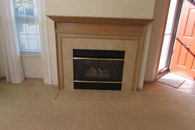 Gas Log Fireplace