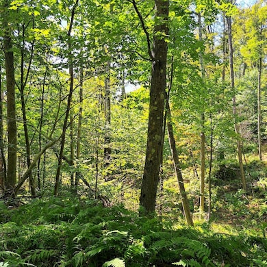 Doe Run Rd unit LotWP001, Galeton, PA 16922 - photo 7