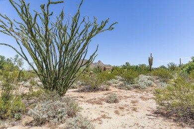 5-web-or-mls-D46A6268