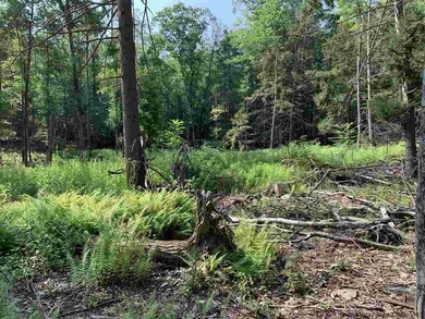 Lot 2 TBD Cherry Hill Rd, Stone Ridge, NY 12484 - photo 6