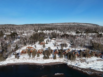 XX Temperance Landing, Schroeder, MN 55613 - photo 3