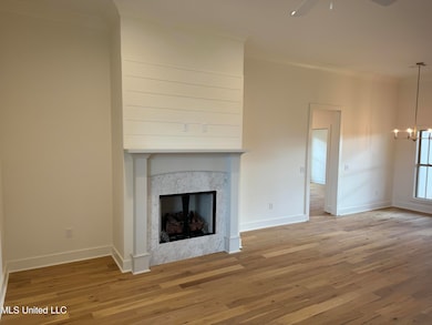 303 Birch Ct unit Lot 32, Canton, MS 39046 - photo 6