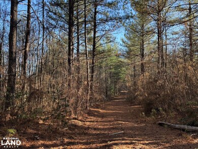 0 Hollybrook Dr, Morganton, NC 28655 - photo 5