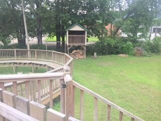 Backyard 1