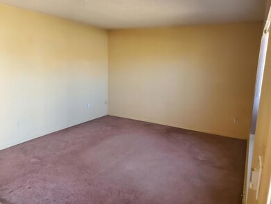 LARGE LIVING ROOM