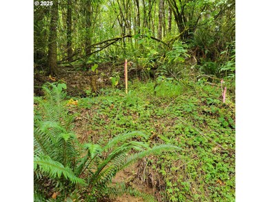0 Coal Creek Rd, Scappoose, OR 97056 - photo 2