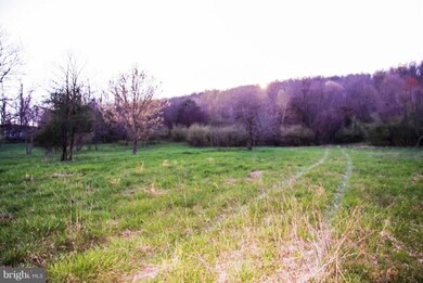 34266 Williams Gap Rd, Round Hill, VA 20141 - photo 7