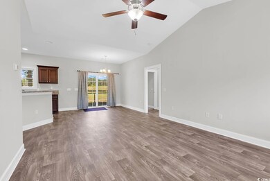 6384 Highway 378, Conway, SC 29527 - photo 4