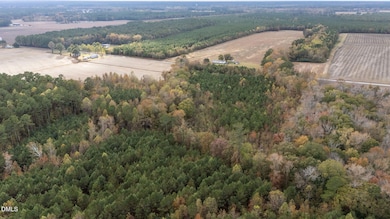 0 Sheppard Mill Rd, Stokes, NC 27884 - photo 6