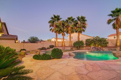 Back yard