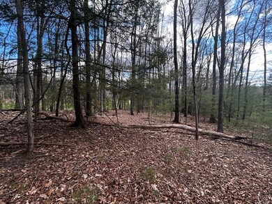 315 Tall Pines Dr unit 16, Daniels, WV 25832 - photo 6