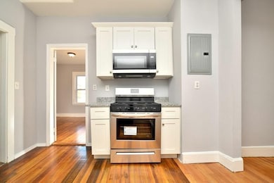 43 Theodore St unit 1, Dorchester Center, MA 02124 - photo 4